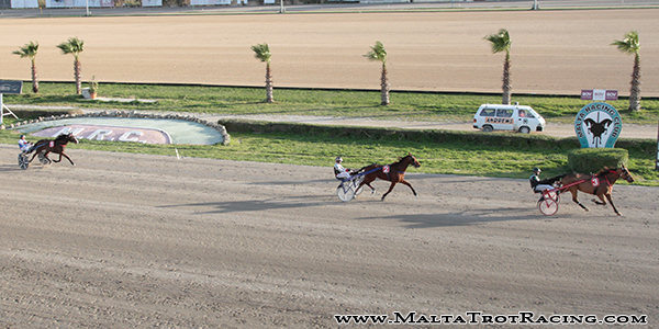 Race 8 confirmed result