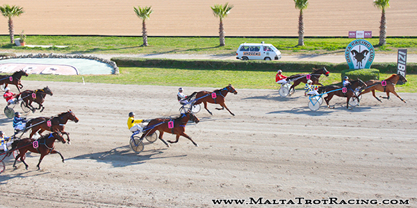 Race 5 confirmed result