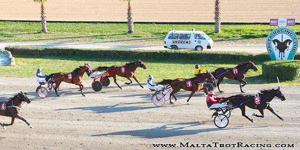 Race 8 confirmed result