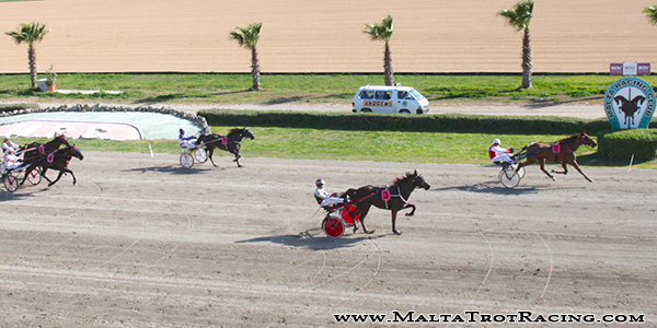 Race 5 confirmed result