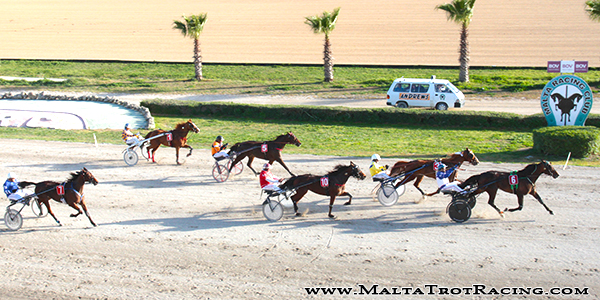 Race 8 confirmed result
