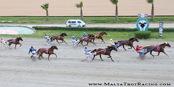 Race 5 confirmed result