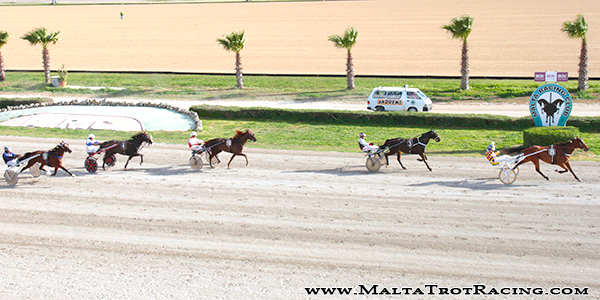 Race 7 confirmed result