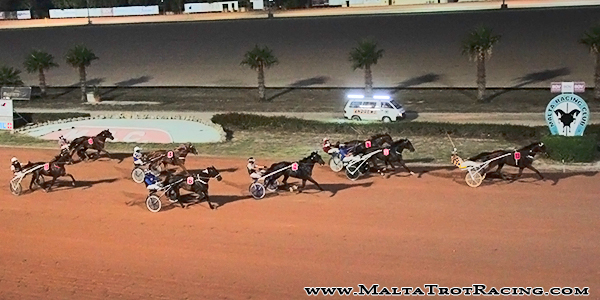 Race 5 confirmed result