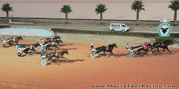 Race 5 confirmed result