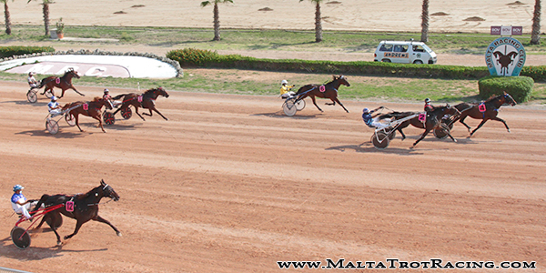 Race 5 confirmed result