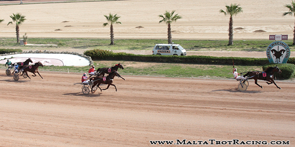 Race 5 confirmed result