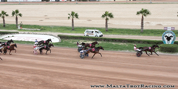 Race 5 confirmed result