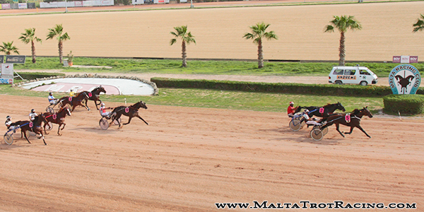 Race 5 confirmed result