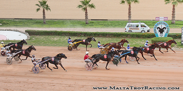 Race 8 confirmed result