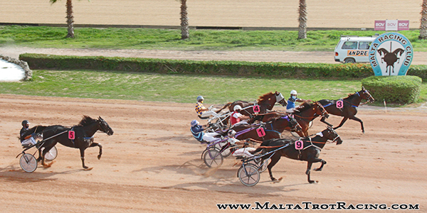 Race 5 confirmed result