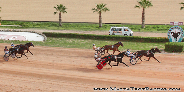 Race 7 confirmed result