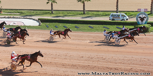 Race 5 confirmed result