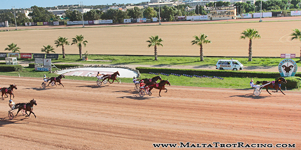 Race 5 confirmed result