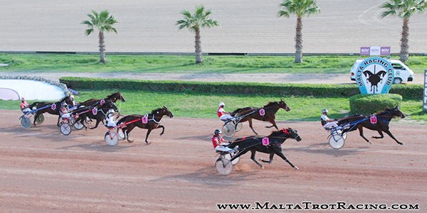 Race 5 confirmed result