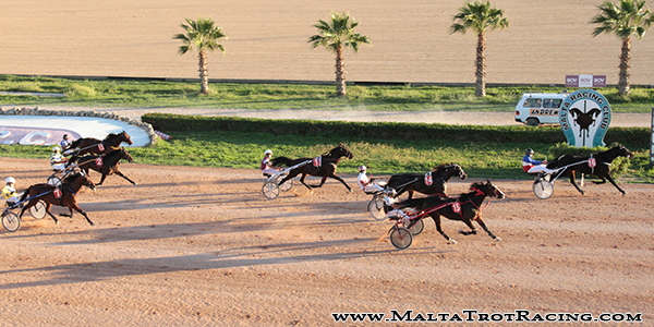 Race 8 confirmed result