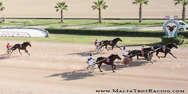 Race 5 confirmed result