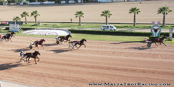 Race 5 confirmed result