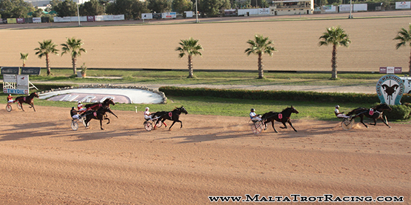 Race 5 confirmed result