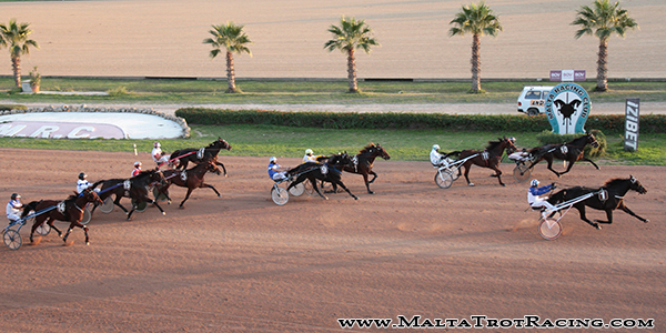 Race 7 confirmed result