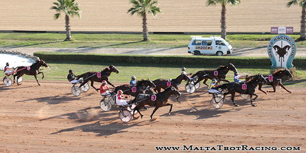 Race 5 confirmed result
