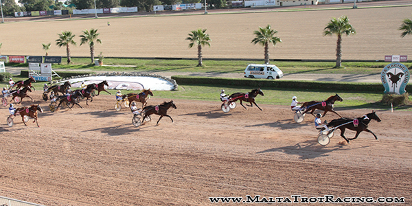 Race 5 confirmed result
