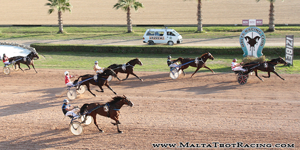 Race 7 confirmed result