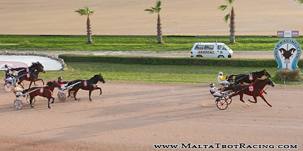 Race 8 confirmed result