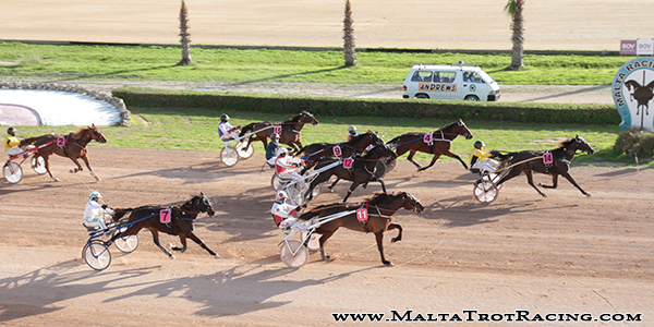 Race 5 confirmed result