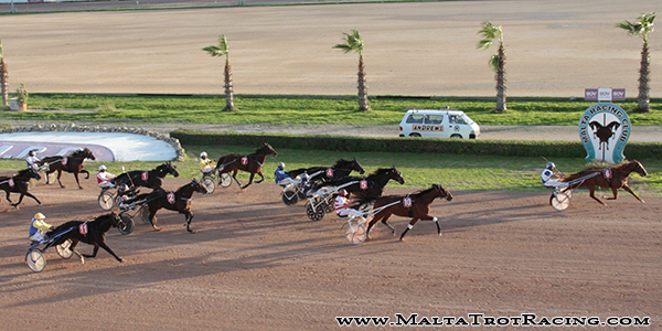 Race 8 confirmed result