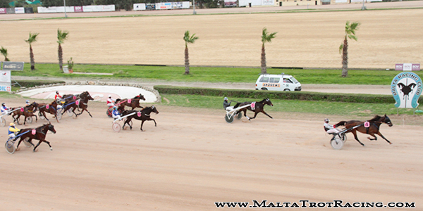 Race 5 confirmed result