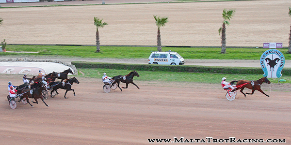 Race 7 confirmed result