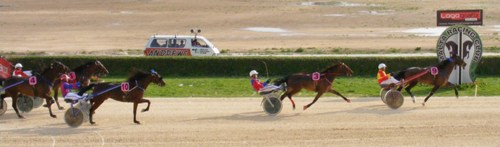 Race 5 confirmed result