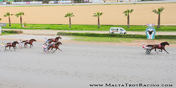 Race 5 confirmed result