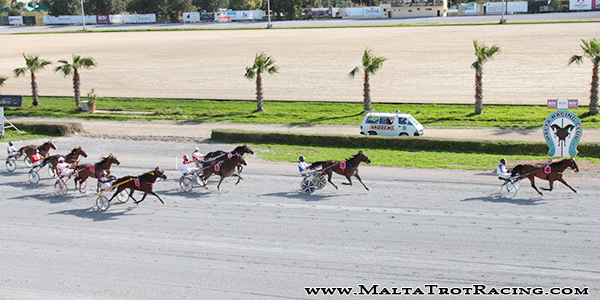 Race 5 confirmed result