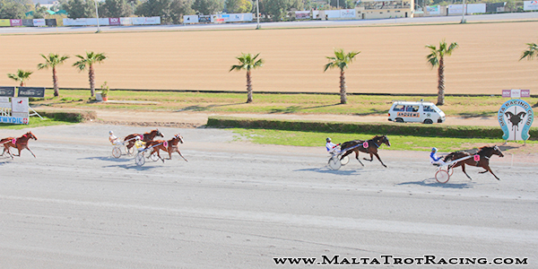 Race 5 confirmed result