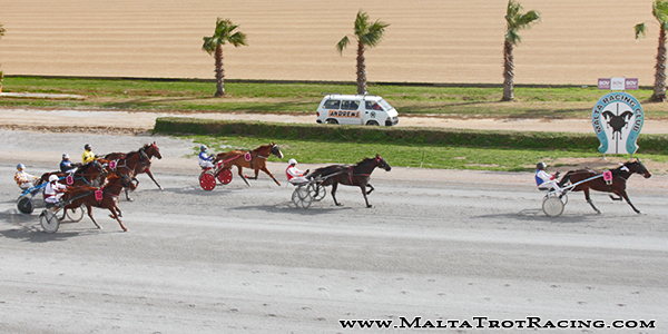 Race 5 confirmed result