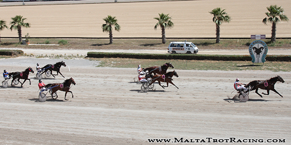 Race 5 confirmed result