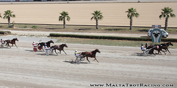 Race 8 confirmed result