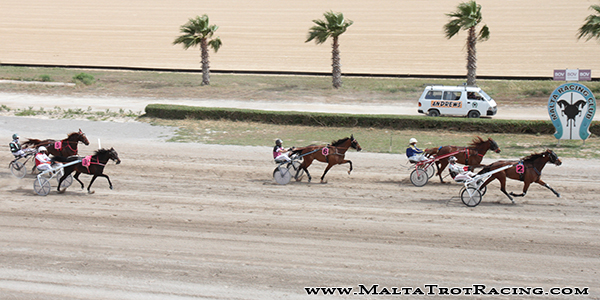 Race 5 confirmed result