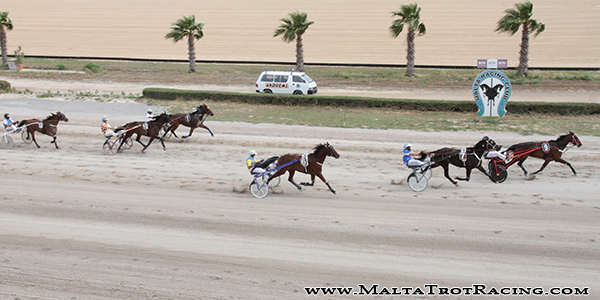 Race 7 confirmed result