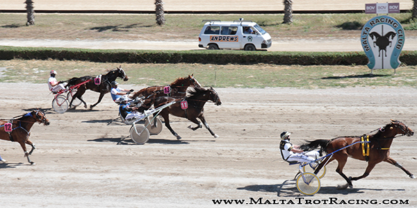 Race 5 confirmed result