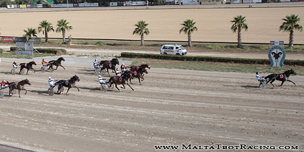 Race 5 confirmed result