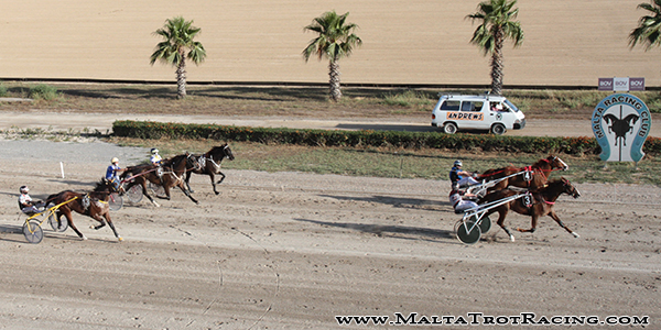 Race 7 confirmed result