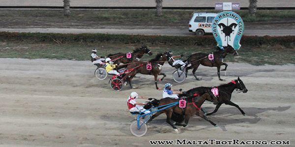 Race 5 confirmed result