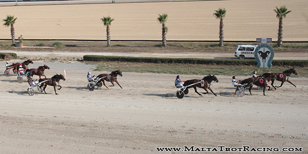 Race 5 confirmed result
