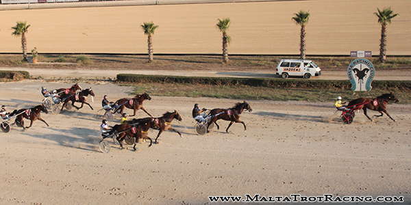 Race 8 confirmed result