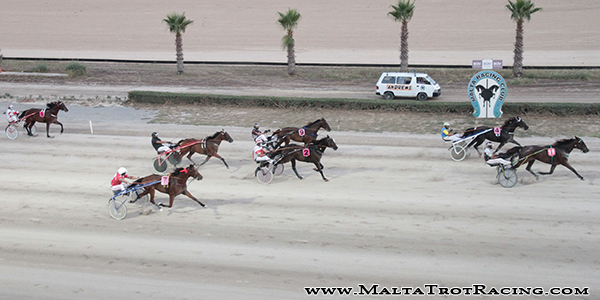 Race 5 confirmed result