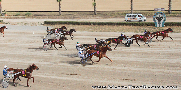 Race 5 confirmed result