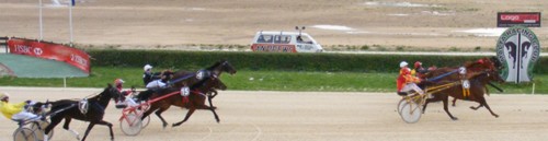 Race 7 confirmed result